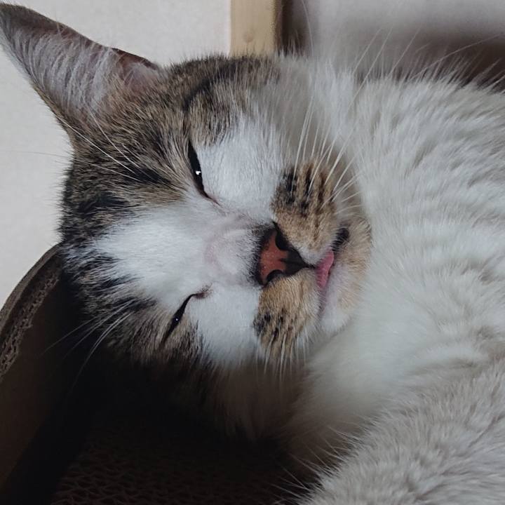 D74c51cd 8865 4ce3 9476 5e85b5f93d28 1628235182955