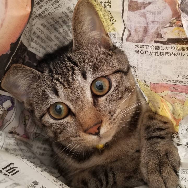 D74c73b7 f891 435e b643 e59649bfc7a3 1673651948786