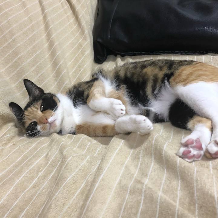 D74c8409 562a 4ba2 86c1 68b89f5f7a15 1579355532228