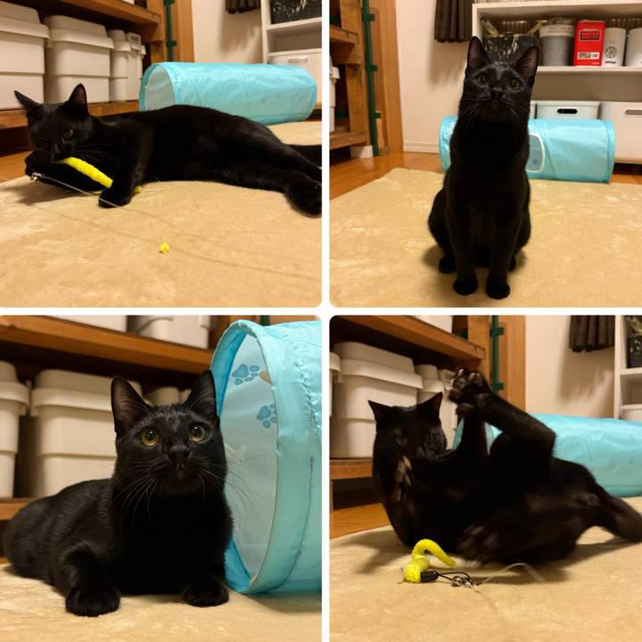 D74c8b8e 3653 4492 9966 07a748615281 1767871854147