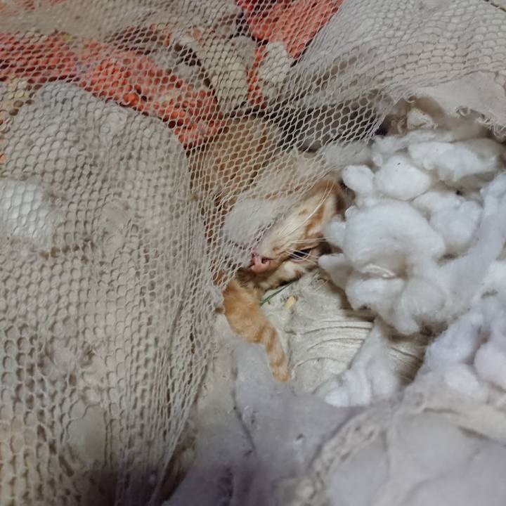 D74ca499 a6f8 4b6b a186 0b3b8ed08f24 1652820357286