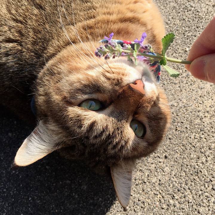 D74cf7f2 6a0c 4de6 9021 5bd6f27ac2e8 1616550811641