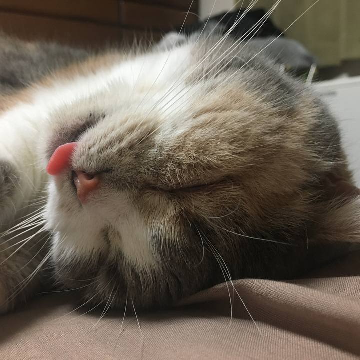 D74d1510 4193 4618 9530 7962b823288a 1582805966729