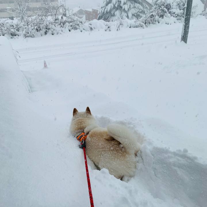 D74d1b28 339f 479a 941a de70f5982d69 1639720185982