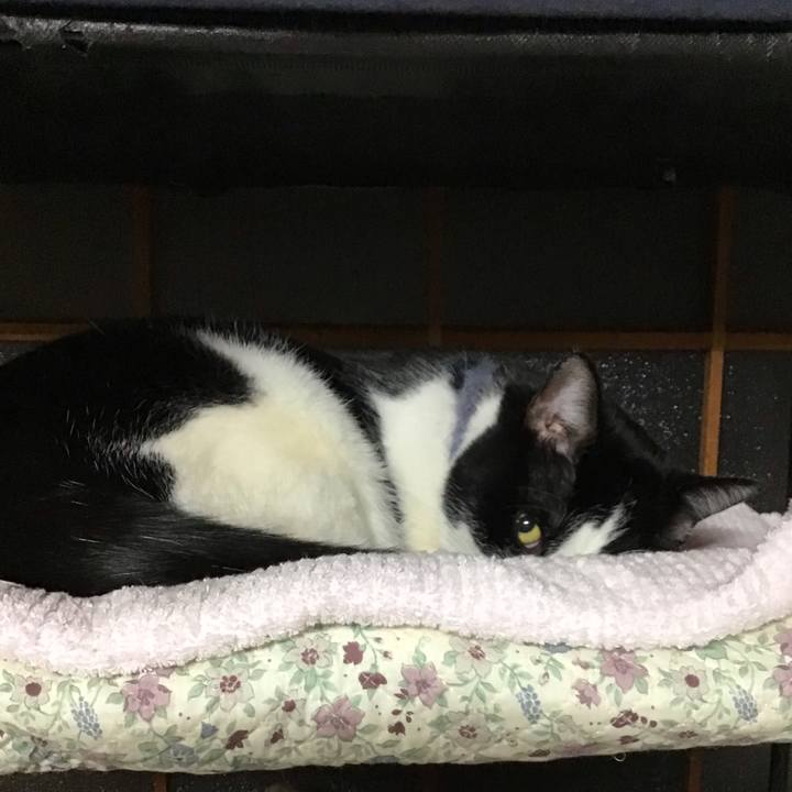 D74d30cf 1827 404e a58b 1eebe082806d 1672151183071