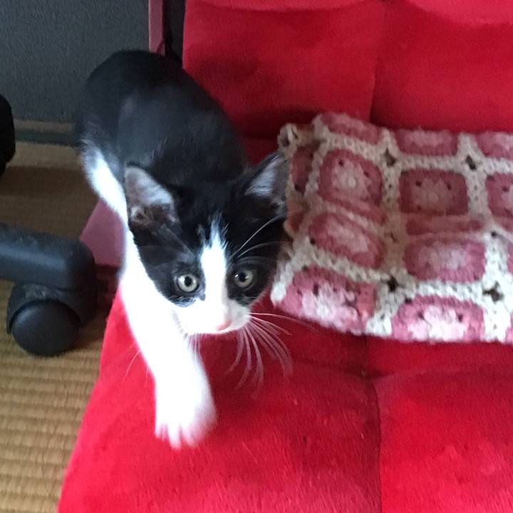 D74d5084 f77c 4463 92cd 7440441cd069 1624857402785