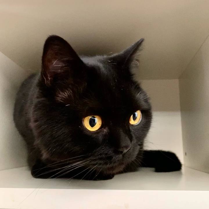 D74d60cf bc3e 4592 977c 26bb772d1288 1685748760652