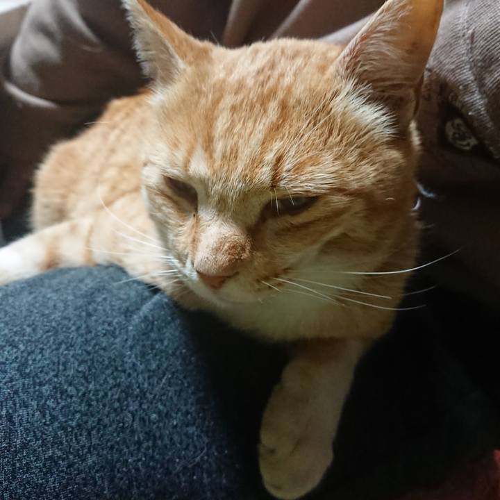 D74dd3cc 5531 4afe 9f9a 315cb2571d8f 1588018548095