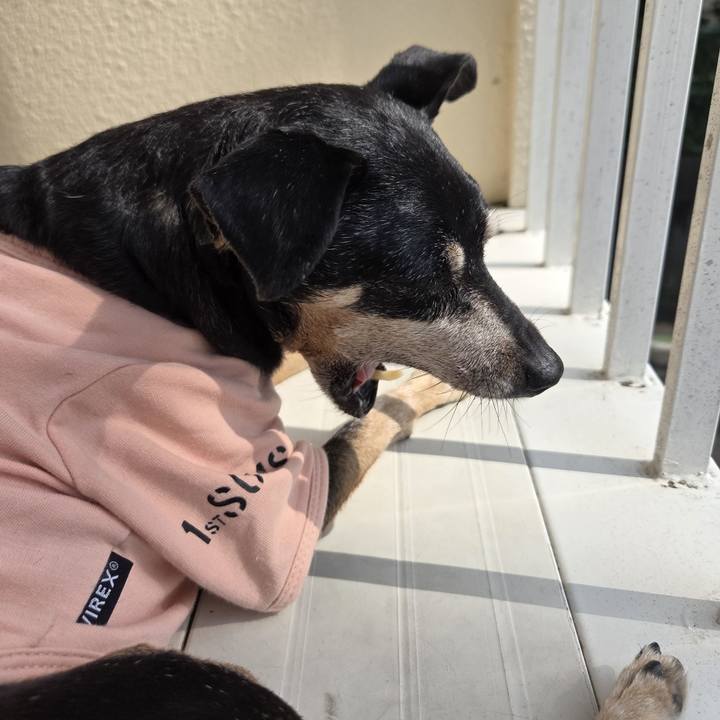 D74e4094 bdca 478b 9ae7 fe9fd9425fa4 1758172253649