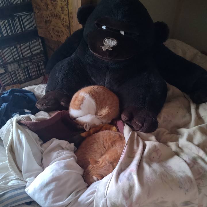 D74e5b04 7624 419d 9872 3a409a453f22 1767159329582