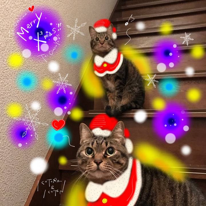 D74e6e0a 3e16 4502 8443 fbd8866eeed2 1640352277696