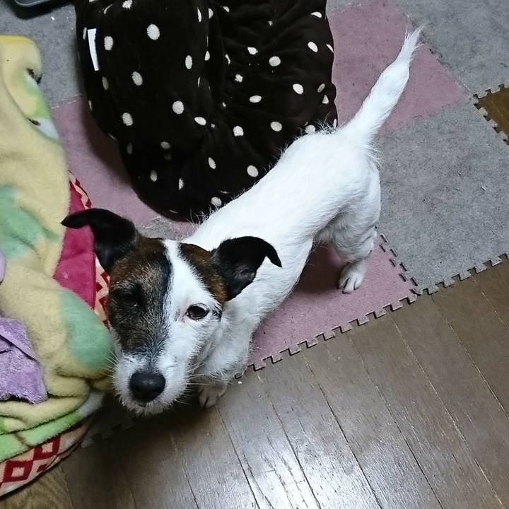 D74e7be5 f9a2 45bb 9c74 db250d96a181 1518267276159