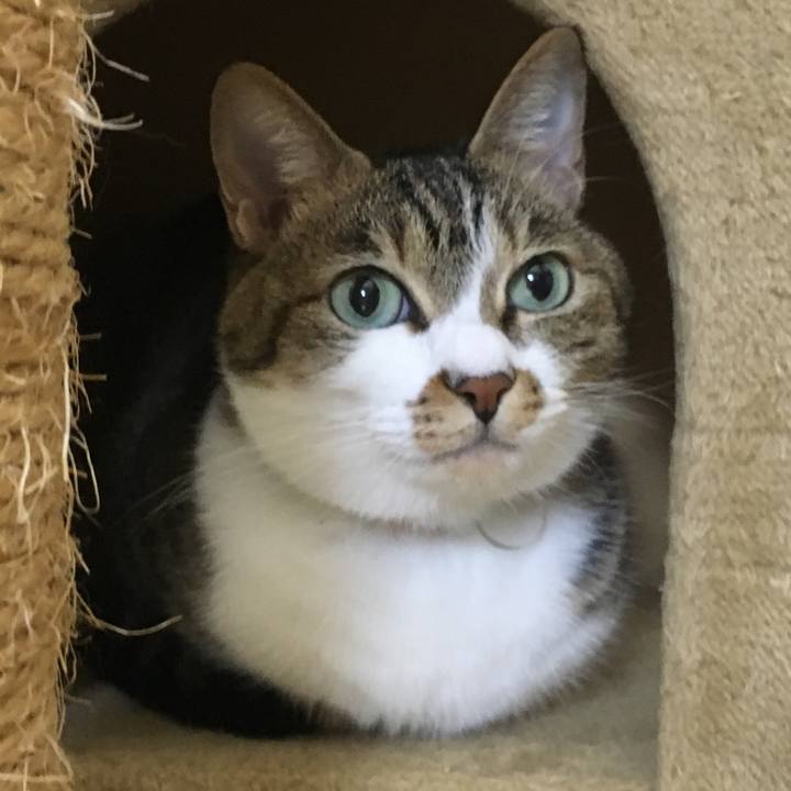 D74e8de7 f650 46f6 bc8f a911e020cd8f 1537968356356