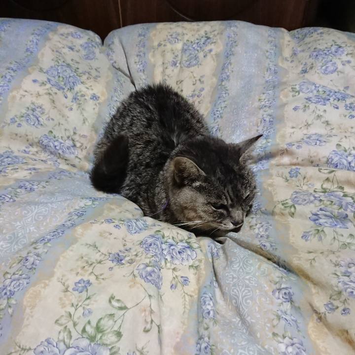 D74ea2d0 feac 4040 8cf9 53e28d5cf58a 1582373898800