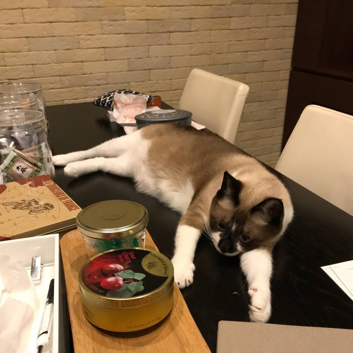 D74ea47c 1b01 4172 955f 16836c414d8a 1540470187654