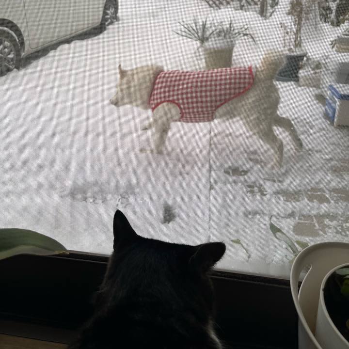 D74eac52 6c37 4395 893c 3a57d7bd5793 1769125380005