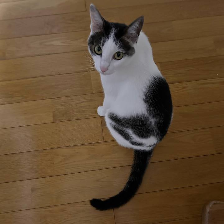 D74ed3ad 33d6 4d04 90fe 206f25cddb0c 1717247493732