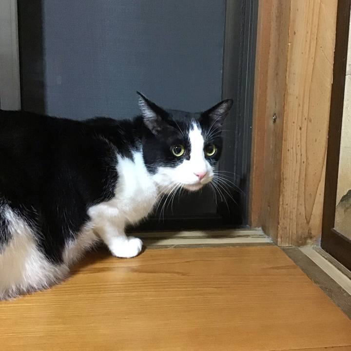 D74f0ee9 63ff 41dc 9a73 e9366f4c3b0f 1719919826761