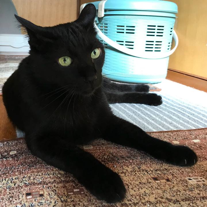 D74f2b29 71e8 4e85 ad22 331a70f3bf67 1531186011707