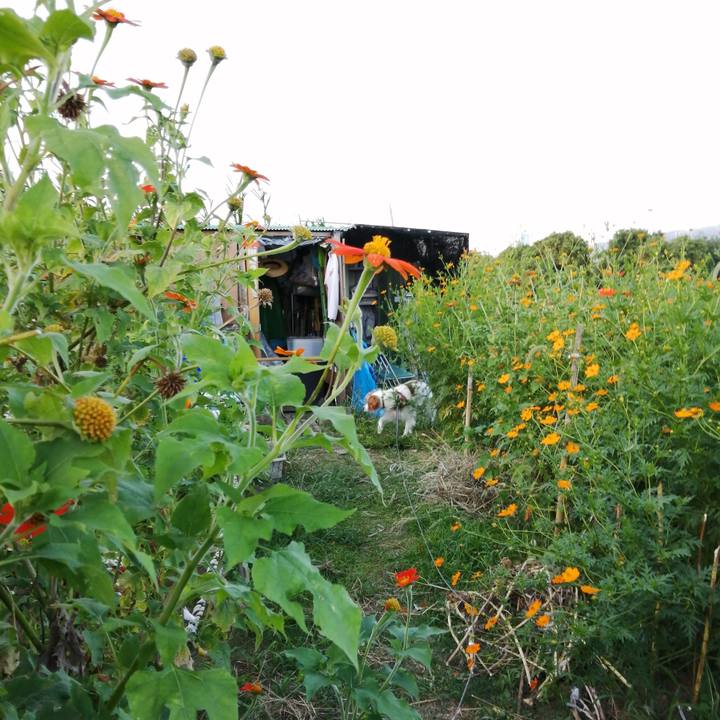 D74f3650 2398 42c4 88d4 01fd9e92f9b2 1568547622968