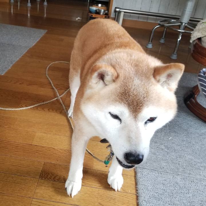 D74f8cfc f9ec 4833 946f 9b39c0e2b3ba 1693369291789