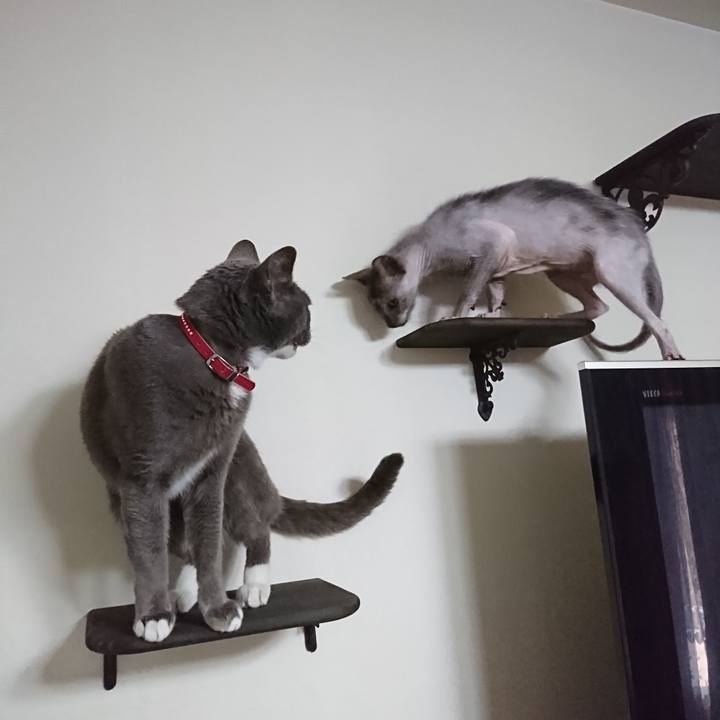 D74fbca3 4365 497c a8d2 61170c494d71 1523443601000