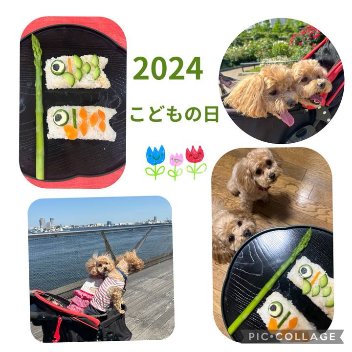 D74ff128 b2ea 49f9 966f 91fe239184ac 1714918659516