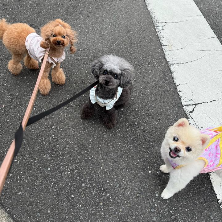 D74ff501 e3cc 4514 8595 7cc281d2aaef 1752535121607