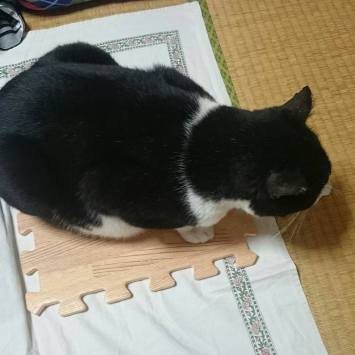 D75023fc 6dcd 4bfd a1da 68d6462a4ead 1524828062121