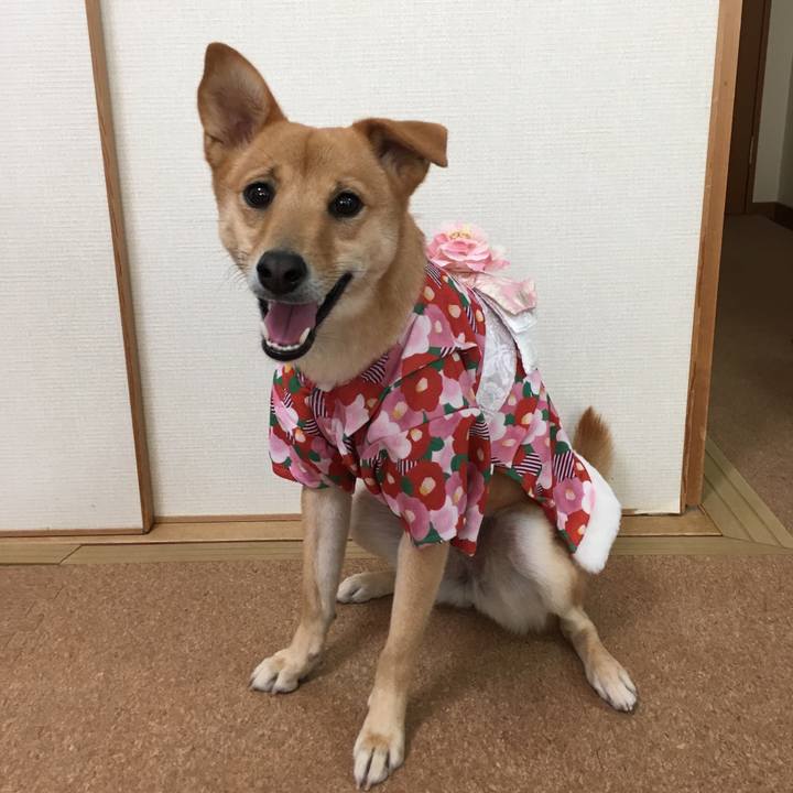 D7502687 6af2 4069 8cee 5905e188efcd 1514784330919