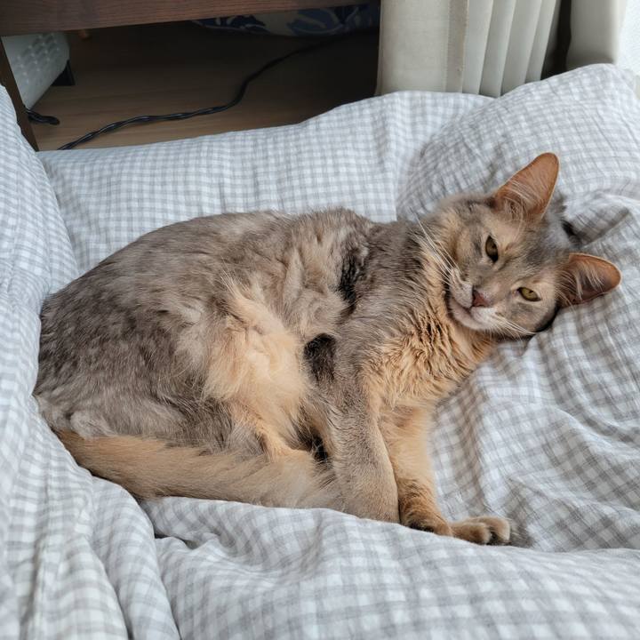 D7502c1a 75cd 4213 b798 f3046b3ad9a6 1652855082425