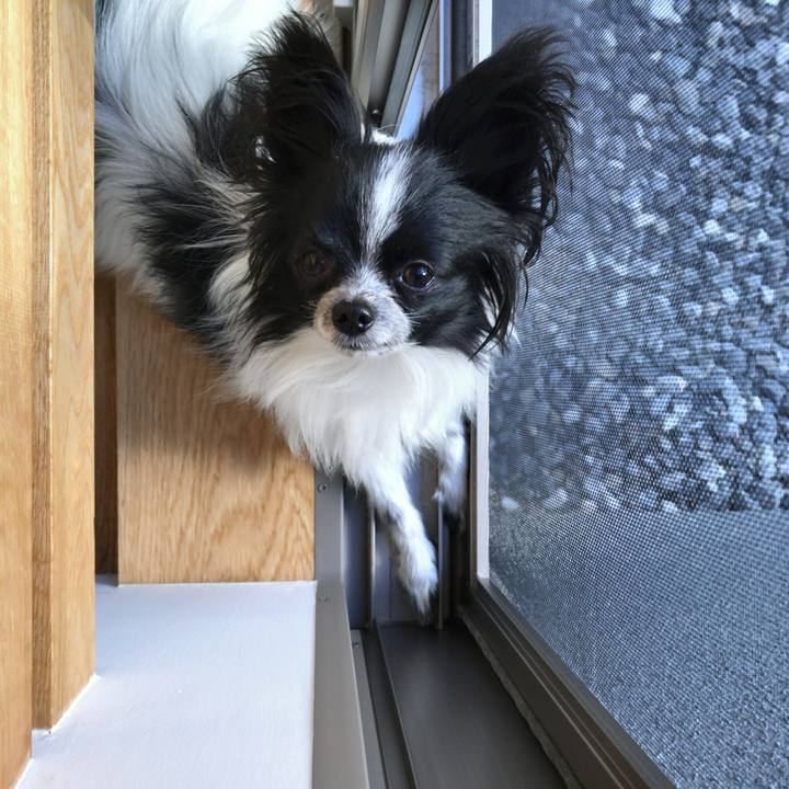 D75042a5 3b1f 450c 8a8d cc124c06b325 1511092687309