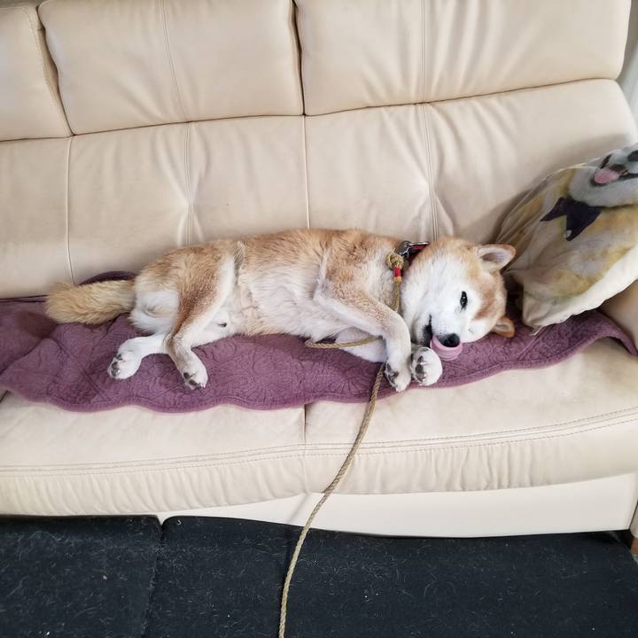 D750797b 0e21 4557 8e3b 128c51a711a9 1733098667476