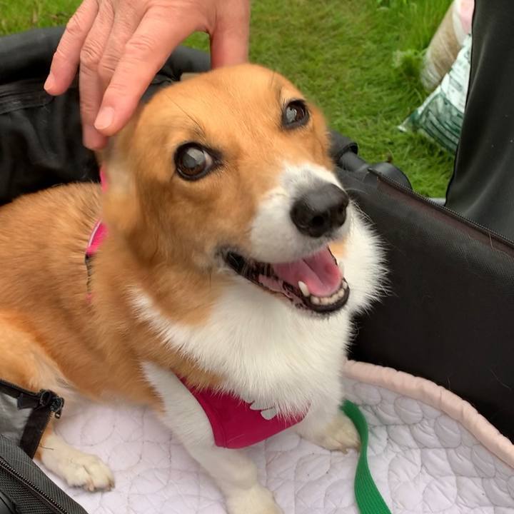 D750a688 5485 49e6 bcd4 1049ab0c6c9a 1630568462174