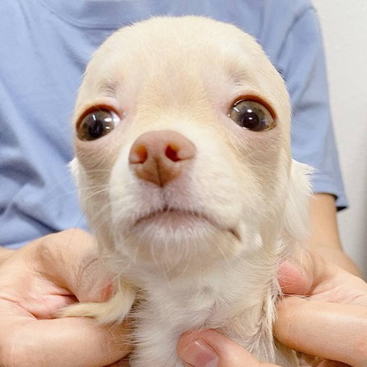 D750aeb6 4cbe 4a03 b2d0 ff77e5a7ab06 1593245707849