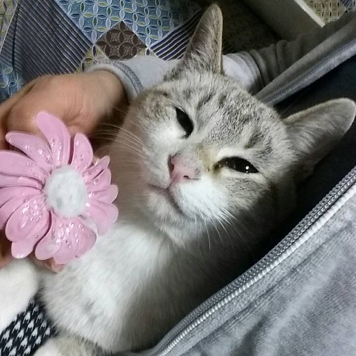 D750bd12 3197 4370 8d0b dc35ec6b6554 1517583432022