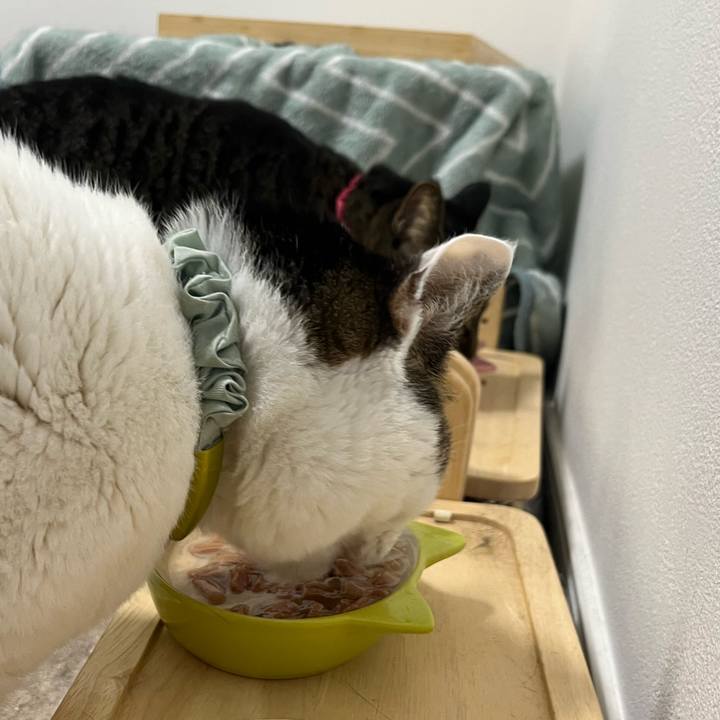 D750c94c c86f 484d 902c 4447cdf1b10e 1776717219255