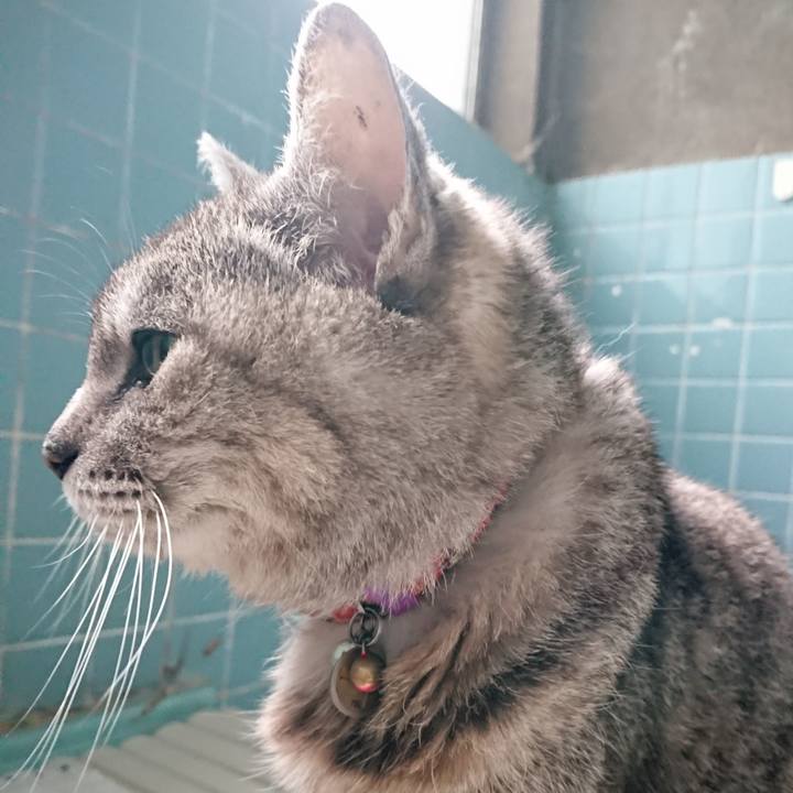 D750d4f8 18cf 4e1b abdc f586d6fb3484 1589102087872