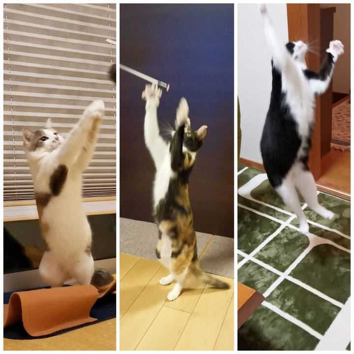 D750dc98 59e5 4c4e 8fac 352d11b2c514 1607659641388