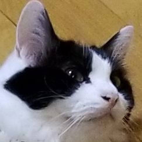 D750e325 9858 4484 bd65 044d6ae108e9 1567218938124