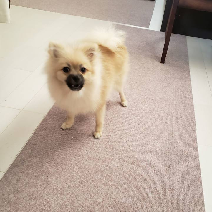 D7510cd2 d2db 4eab 8f49 ff4893c59b0b 1619703322843