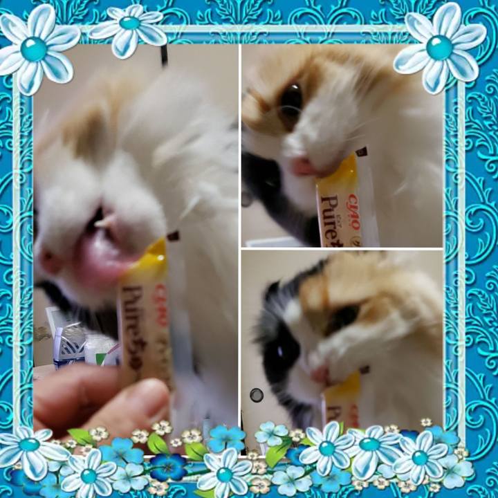 D75150d4 2450 4ba3 8923 24cc52983203 1609122467412