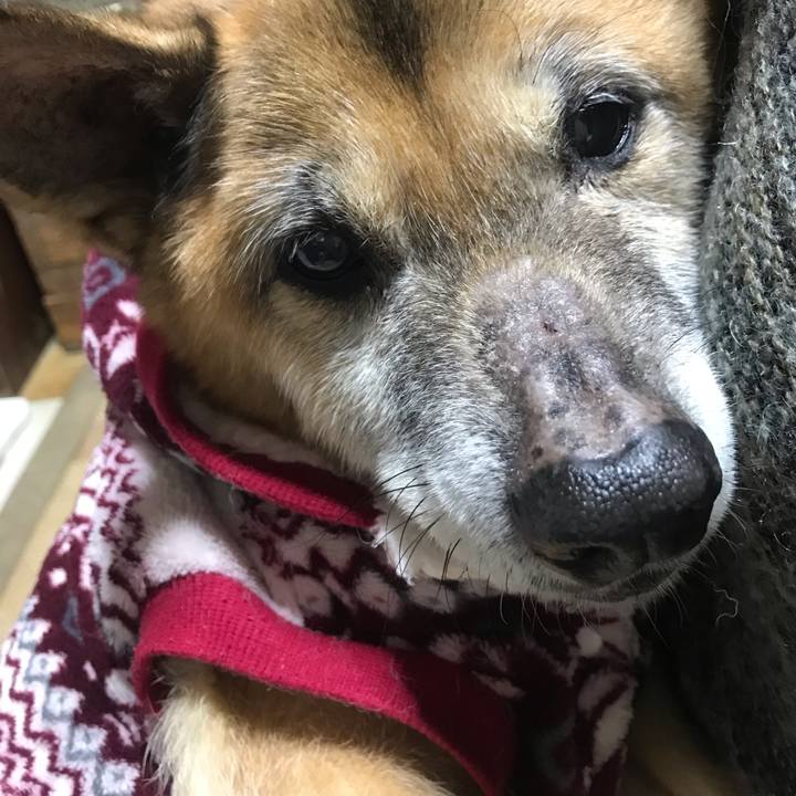 D75156c5 1c2b 4e76 97dc af51a5aed815 1548932461010