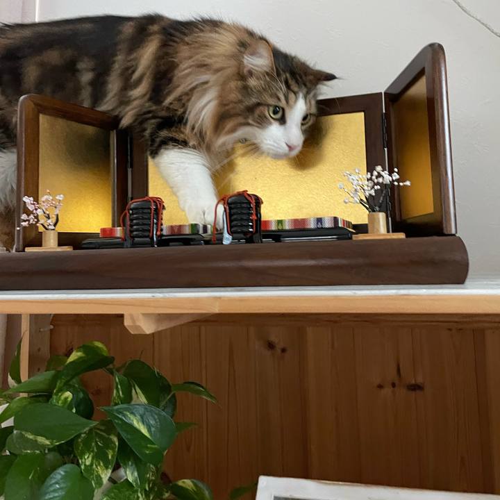 D751843c fbae 4e44 a777 7323a8a9d73c 1677136122065