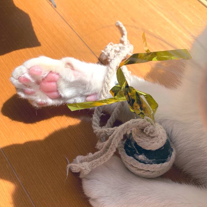 D7518b6a acf7 4cdc b25b 30e33c79a005 1553588537171