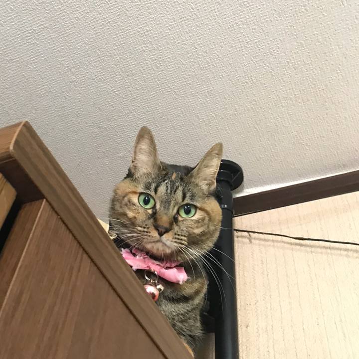 D751c39b 4497 44cd 9618 8ac3fec86044 1511223103603