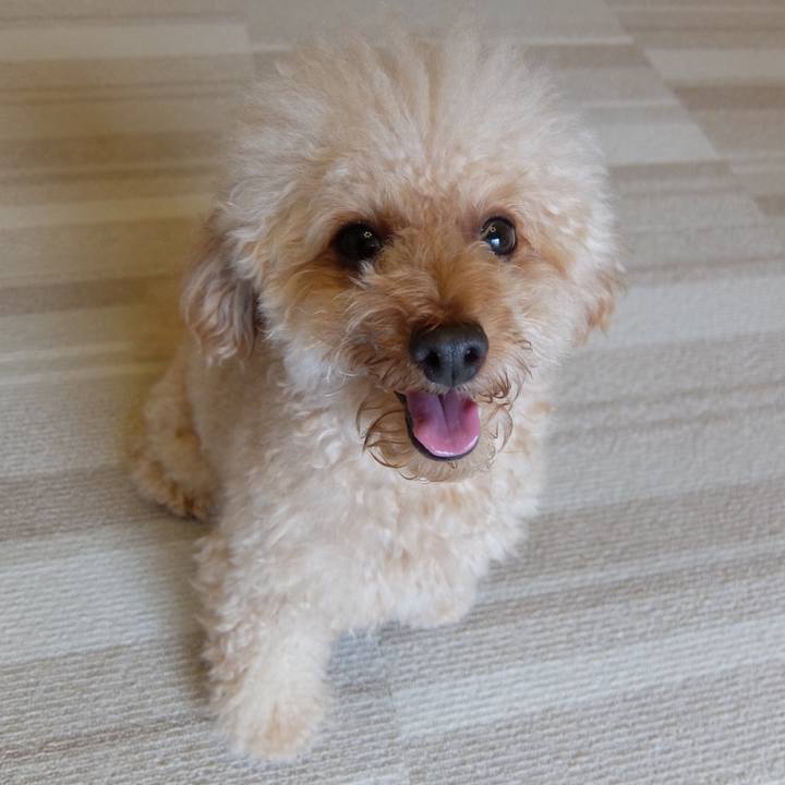 D751c6c9 8ad6 4507 9ed2 cc89fbf3c820 1571688587710