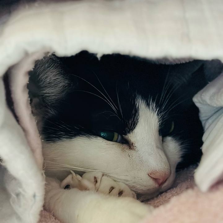 D751d23f a5cf 437a bc69 c7c00c6c7d79 1703293959400