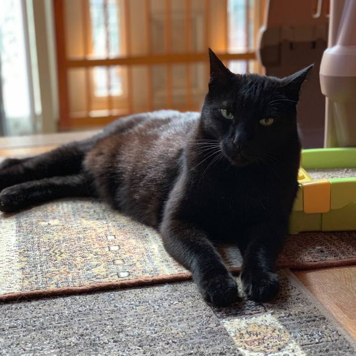 D751d642 7d0f 4a45 8048 0dd7c7405817 1558313712039