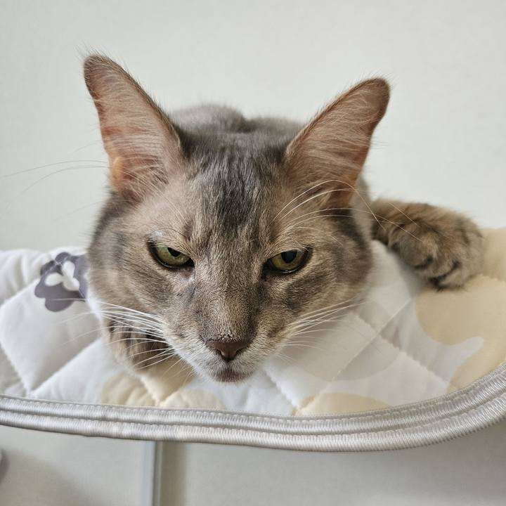 D75205f9 c000 433f aca8 d291f20f1c66 1722222833574